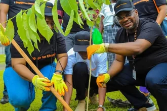 Protection de l’environnement : Orange Cameroun verdit Douala avec 1 000 arbres