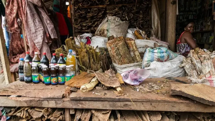 Médecine traditionnelle au Cameroun : bientôt un cadre légal